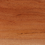 African Mahogany